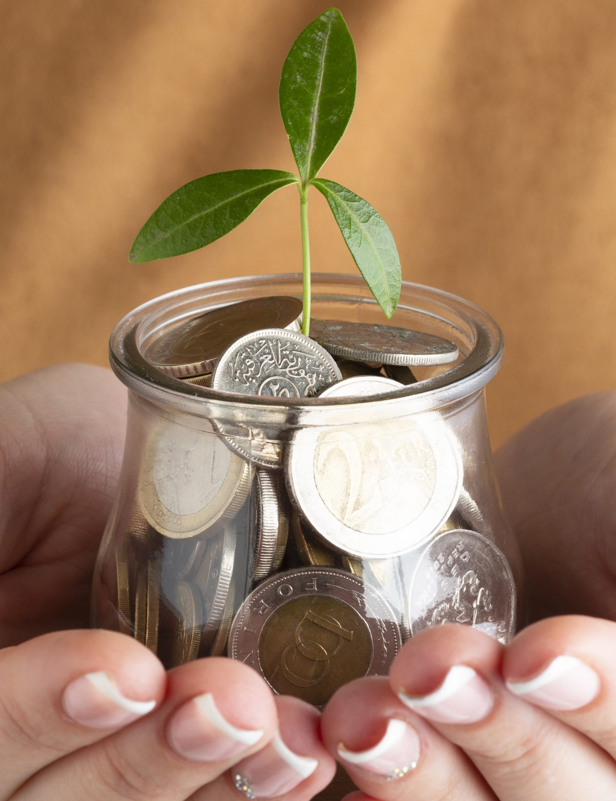 What is Alternative Investment Fund and how we can support in your investment process?