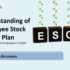 Webinar- Employee Stock Option Plan